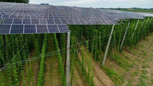 Landwirtschaft in Stuttgart: Kompromiss für Photovoltaik auf Äckern?