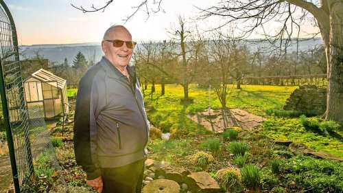 Fehler bei der Grundsteuer in Esslingen: Wenn die Streuobstwiese plötzlich als Bauland zählt