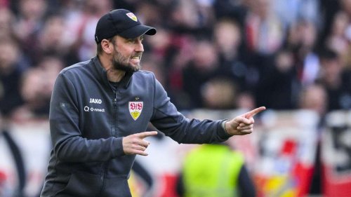 Vergleich mit FC Bayern und Borussia Dortmund: VfB-Coach Hoeneß verweigert die „Milchmädchenrechnung“