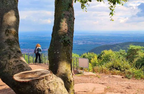 Wandertipps für Baden-Württemberg und Rheinland-Pfalz: Vom Weinort St. Martin zum höchsten Berg im Pfälzerwald