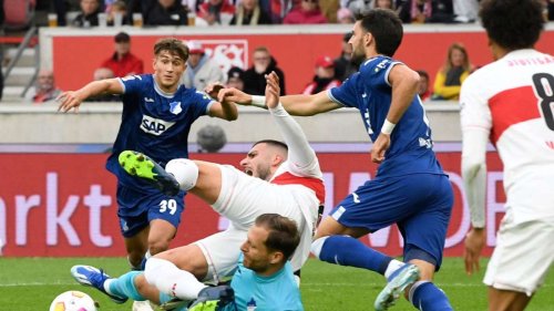 Netzreaktionen zu VfB Stuttgart gegen TSG Hoffenheim: „Zwayer sollte nicht mal Kreisliga pfeifen“