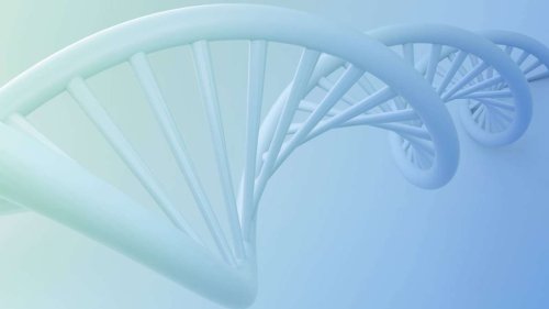 Was geschah am . . . 25. April 1953?: Francis Crick und James Watson veröffentlichen ihre Studie zur DNA-Doppelhelix
