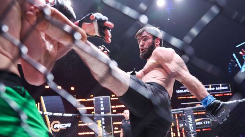 Mixed Martial Arts: MMA – Kampfsport nur für die ganz Harten