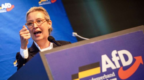 Neuer Ärger bei der AfD: Klage gegen chaotischen AfD-Parteitag