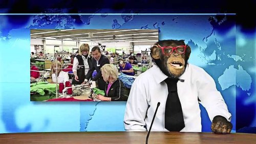 Kultiger Werbespot mit Schimpansen: Das Rätsel um den Trigema-Affen