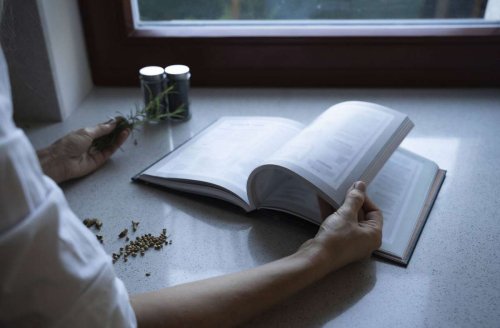 Deutscher Kochbuchpreis 2022: Das sind die besten Kochbücher des Jahres