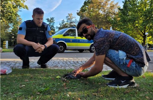 Unfall mit Polizeiauto: Aufregung um Teichhuhn im Schlossgarten