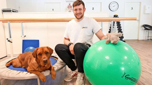 Besuchshund in Marbach: Labrador Tschili bringt gute Laune in die Physiopraxis
