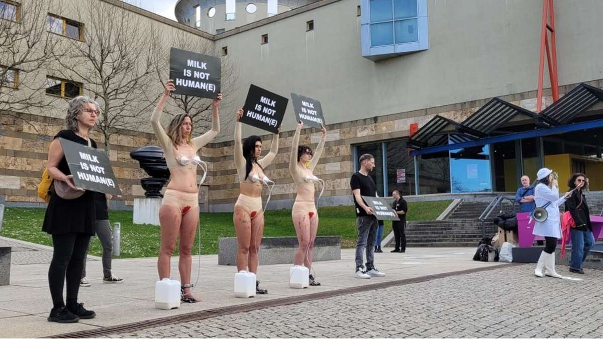 Demo gegen Kuhmilch in Stuttgart: Tierrechtsaktivisten demonstrieren in der Stadtmitte