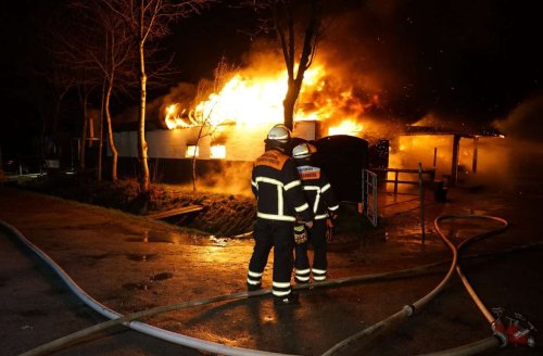 Stallbrand in Schleswig-Holstein: Neun Pferde sterben in den Flammen