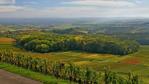 Wandertipp für Baden-Württemberg: Tolle Ausblicke vom Turm des ersten Herzogs – die Heuchelberger Warte
