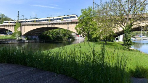 Saisonstart in Bad Cannstatt: Fans der Neckarinsel kommen jetzt wieder auf ihre Kosten Der Zuspruch für die Neckarinsel wächst Neckarinsel jetzt wieder besonderer Ort in Stuttgart Die Neckarinsel eröffnet die Saison „Es gibt eigentlich niemanden, der sagt: Die Neckarinsel braucht es nicht“ Auf der Neckarinsel kehrt wieder Leben ein