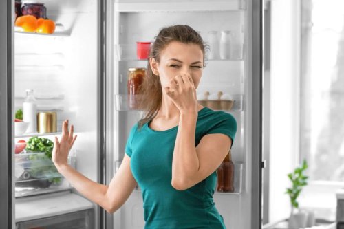 Geruch aus Kühlschrank entfernen (11 Tipps)