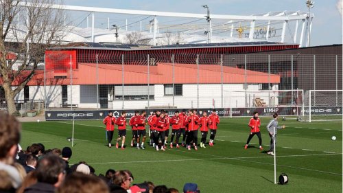 VfB Stuttgart: Öffentliches Training zum Wochenstart – ohne Nationalspieler