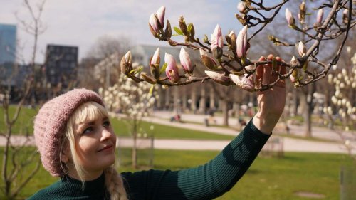 Good News aus Stuttgart: Erstes Eis, blühende Bäume und Empowerment: Darauf könnt ihr euch im März freuen