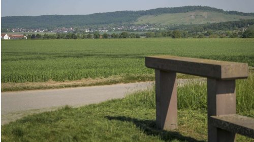 Neue Erlebniswelt: Vaihingen/Enz ist Favorit auf neuen Freizeitpark