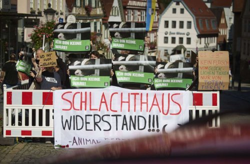 Metzgerei Kühnle in Backnang: Protest gegen „Mord in der Nachbarschaft“