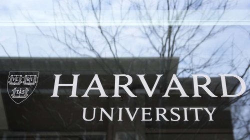 Eskalation an US-Uni Harvard: Bundesregierung will deutschen Studierenden helfen