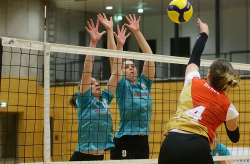 Volleyball Regionalliga: TSF Ditzingen hält zwei Sätze gegen den Spitzenreiter mit