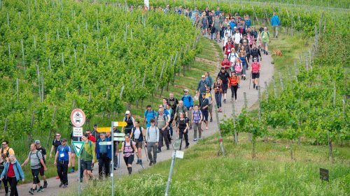 Noch gibt es Tickets: Mega-Wanderevent: Am Vatertag 12 Stunden durchs Remstal