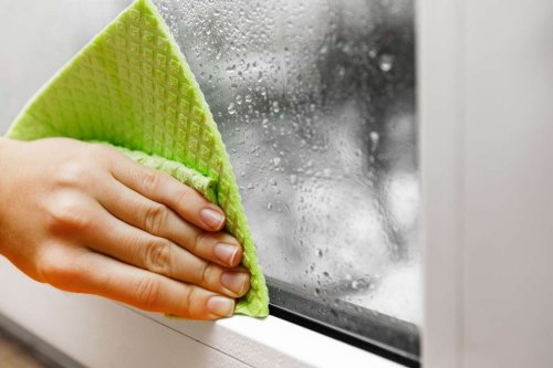 Fenster beschlagen von innen: Wie viel Kondenswasser am Fenster ist normal?