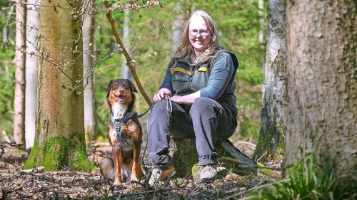 Wilder Job im Enzkreis: Eine Anwältin für wilde Tiere