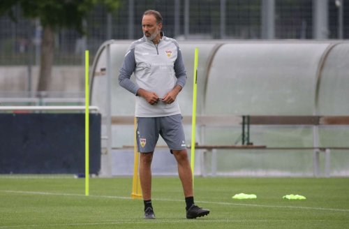 Trainer des VfB Stuttgart: Wie wird das Fehlen von Pellegrino Matarazzo aufgefangen?