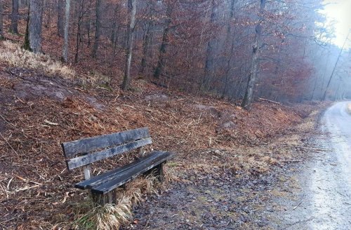 Waldgebiet in Rohr: Große Abholzaktion im Mahdenbachtal