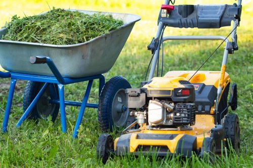 Gartenarbeit an Ostern: Darf man an Karfreitag den Rasen mähen?