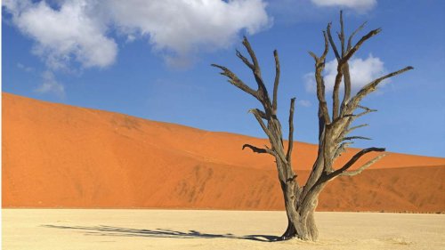 Klimawandel: 1,5 Grad – und was dann?