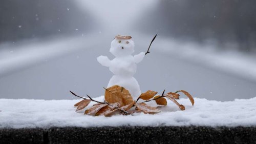 Schnee in Stuttgart: Sind wir glücklicher, wenn es schneit?