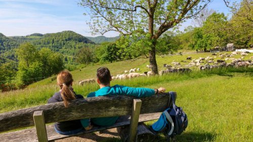Baden-Württemberg: Warum die Tourismuszahlen zu Jahresbeginn gesunken sind
