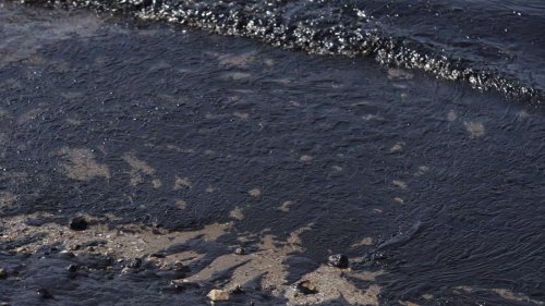 Rotes Meer: Ölteppich – US-Militär warnt vor Umweltkatastrophe