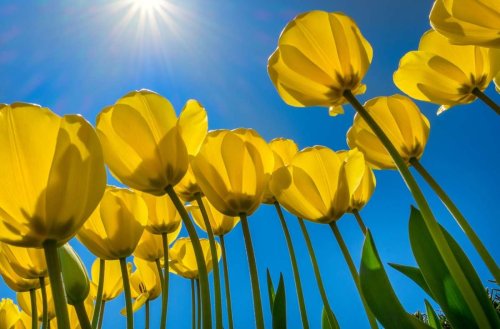 Ab welchem UV-Index Sonnenschutz nötig ist: Braucht man im März schon Sonnencreme?