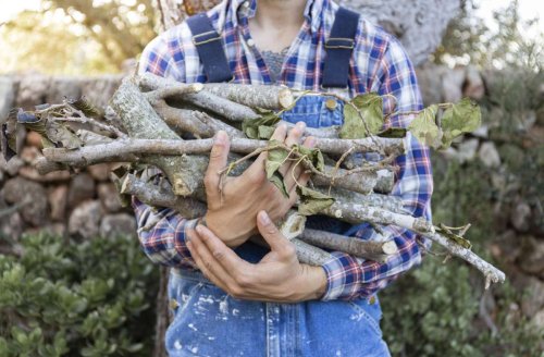 Fürs Heizen: Darf man Holz im Wald einsammeln?
