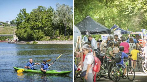 Gemeinsam Ideen entwickeln: Neckarerlebnistag in Besigheim: Wie eine Stadt den Fluss neu entdecken will