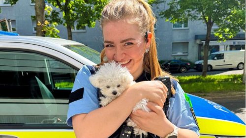 Tierischer Einsatz der Stuttgarter Polizei: Kleiner „Schneeball“ in Gefahr – Welpenrettung geglückt