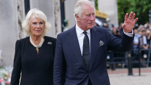 what-does-queen-consort-mean-camilla-parker-bowles-new-title