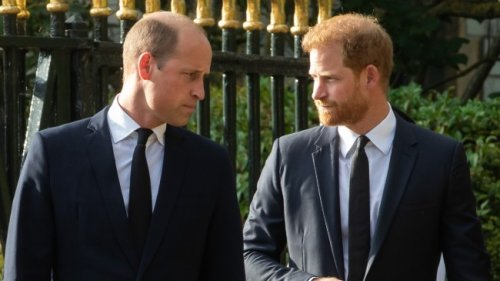 Harry Reportedly ‘Feels Trapped’ as William Just Made Their Feud ‘More Permanent’ With This ‘Infuriating’ Act