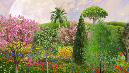 Here's the Tree That Reflects Each Zodiac Sign's Spiritual Power