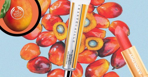Palm oil in beauty products: The sustainable guide to navigating this tricky ingredient