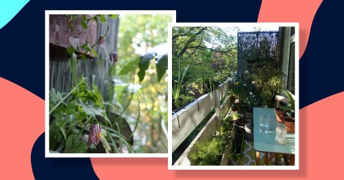 How to transform your balcony into a flourishing green space
