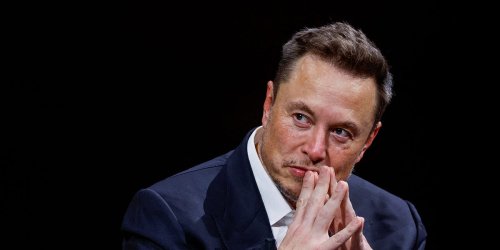 The Trouble with Elon