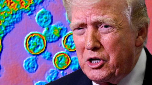 But seriously, how nervous should we be about hantavirus?