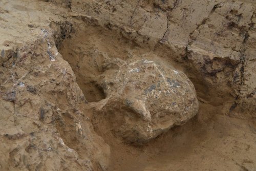 A Nearly One Million Year Old Fossilized Human from the Hubei Province, Central China