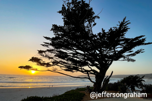 Why I fell in love with Carmel-by-the-Sea