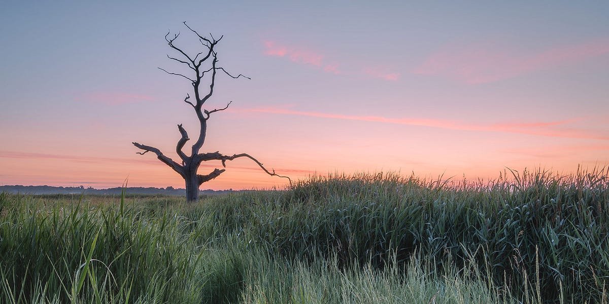 A sunrise shoot and a tricky question