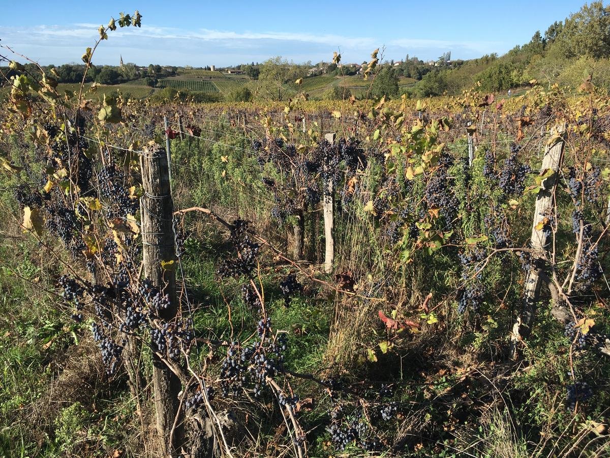 « Un arrondissement à taille humaine » : la sous-préfète de Blaye revient sur trois ans d’actions menées en Haute Gironde