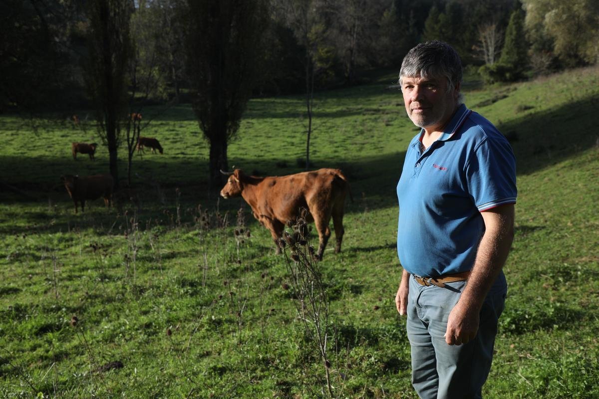 Après huit mois de lutte, cet agriculteur de Dordogne va finalement perdre la totalité de son troupeau