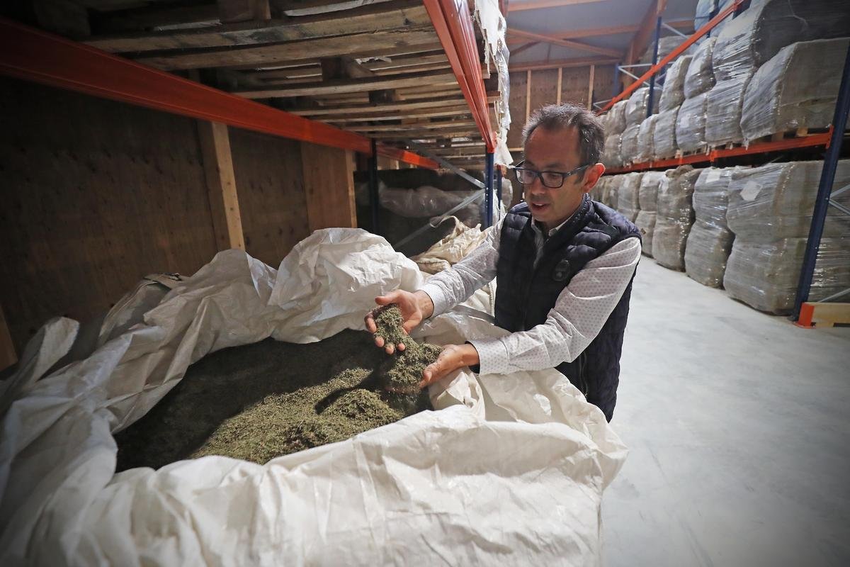 Agriculture : les acteurs du bio inquiets pour leurs projets après la coupe dans le budget de l’Agence Bio